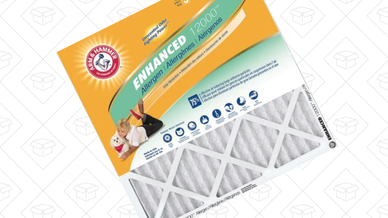 Arm & Hammer Air Filters, 12-Packs | $54 | Home Depot